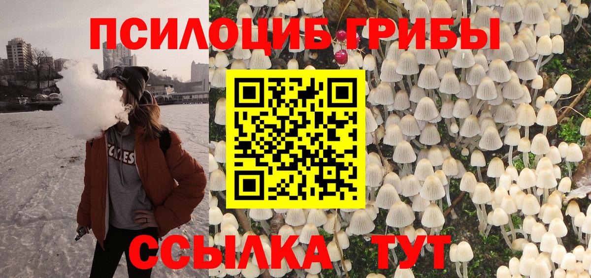 Кандалакша  Галлюциногенные грибы Magic Shrooms  цена   Вход с VPN  Галлюциногенные грибы мицелий 