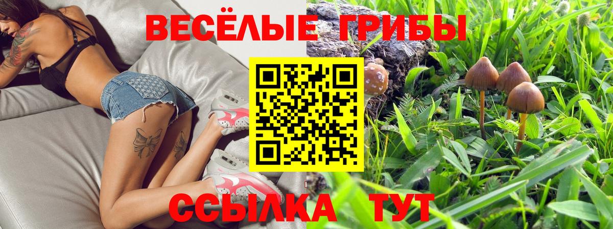 Галлюциногенные грибы мухоморы Кандалакша