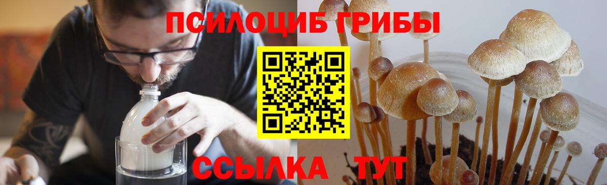 А ПВП Кандалакша