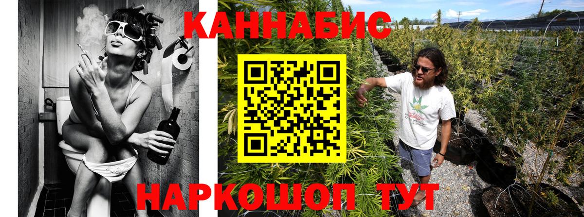 Шишки марихуана сатива Кандалакша